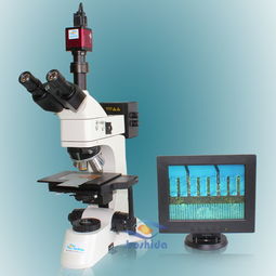 厂家直销微分干涉显微镜 博视达dic显微镜 dic3230 深圳供应微风干涩显微镜 dic 显微镜